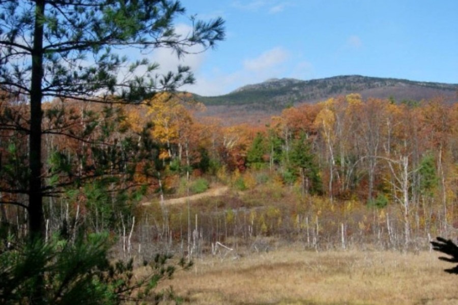 Society for the Protection of NH Forests The Conservation Alliance