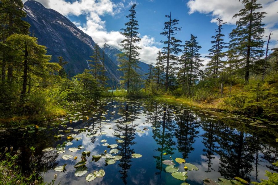 Southeast Alaska Conservation Council The Conservation Alliance