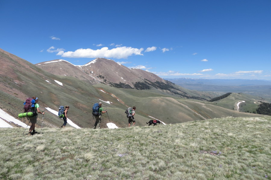 Wild Montana The Conservation Alliance