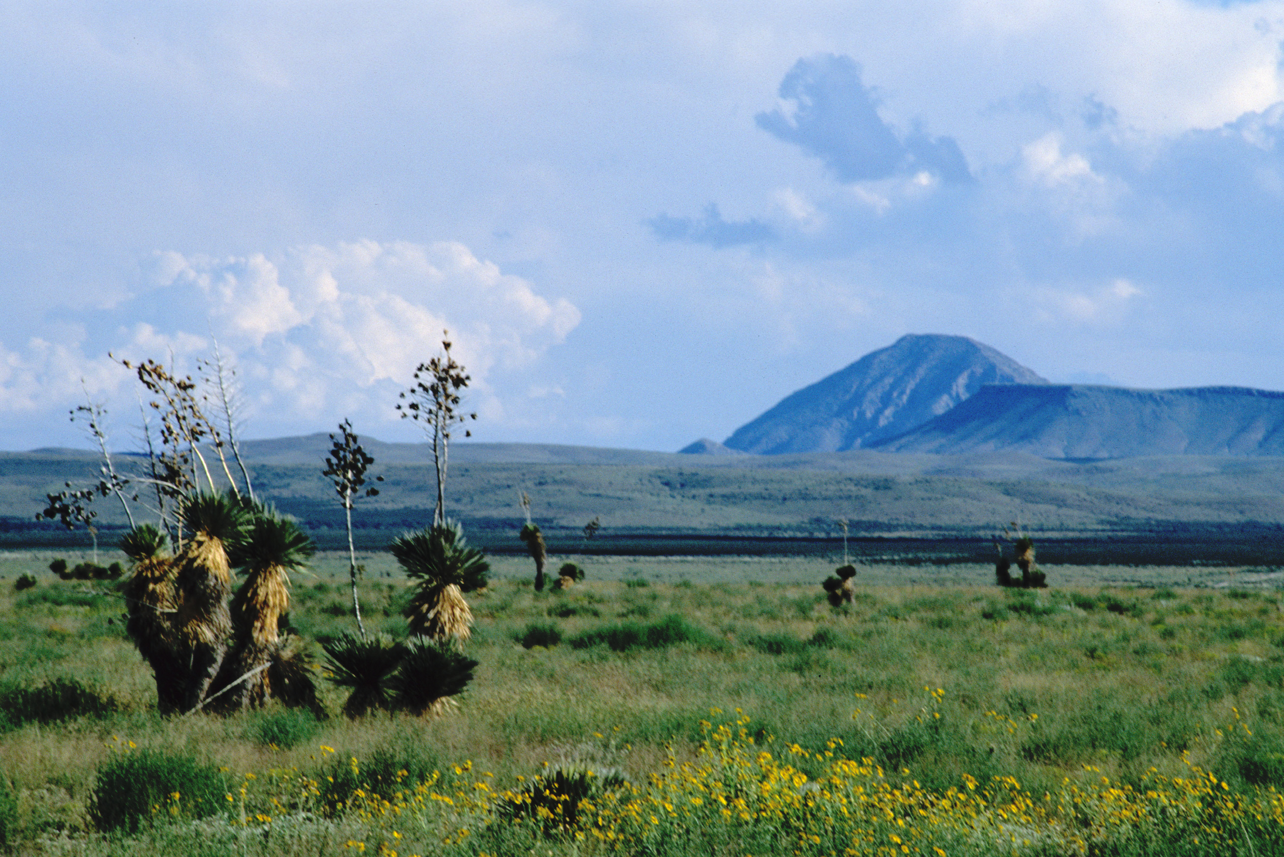 New Mexico Wilderness Alliance The Conservation Alliance
