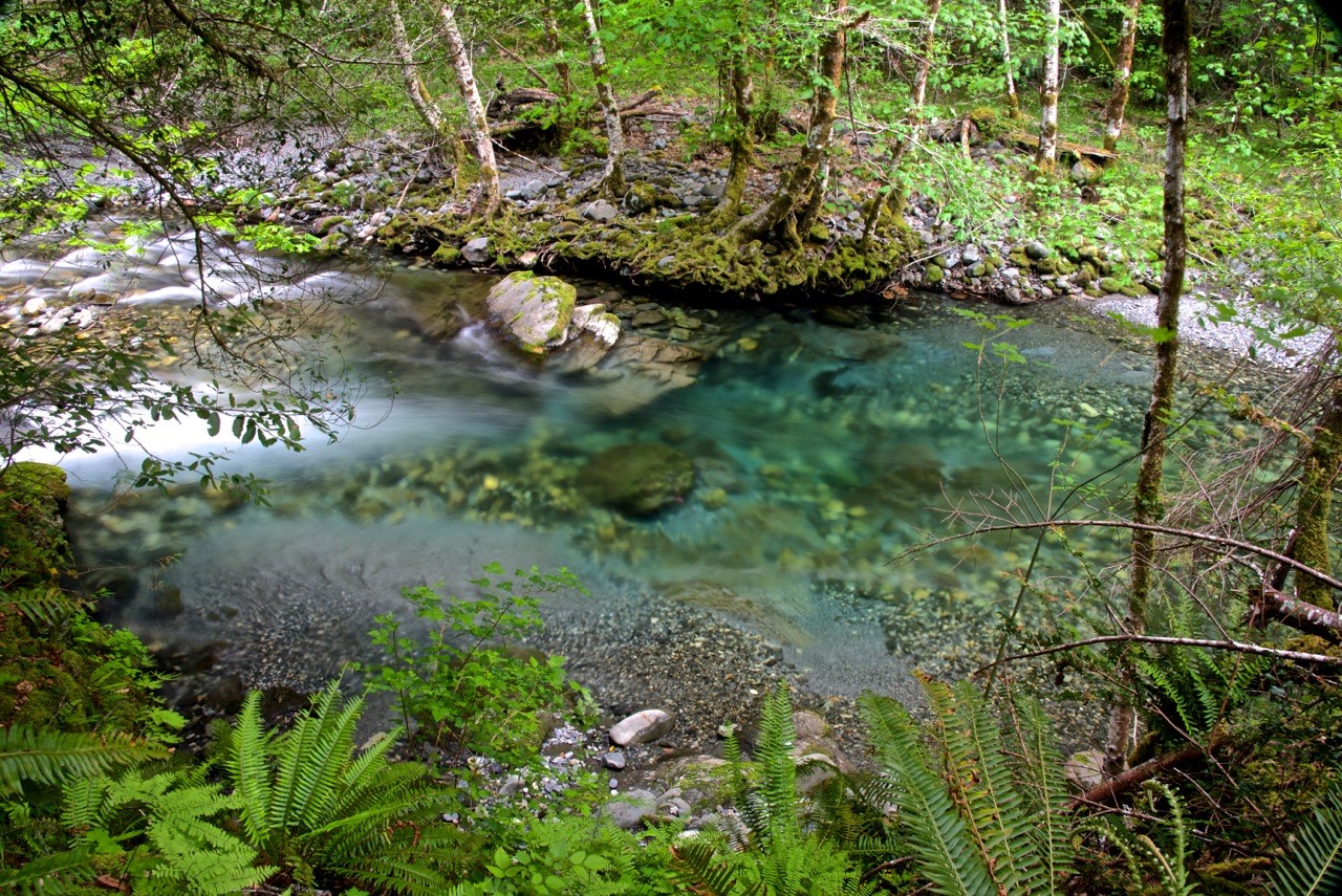 Success 320 Acres on the Siskiyou Fork of the Smith River The