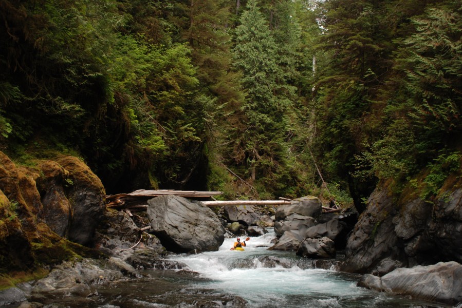 Wild Olympics, WA Photo: American Whitewater