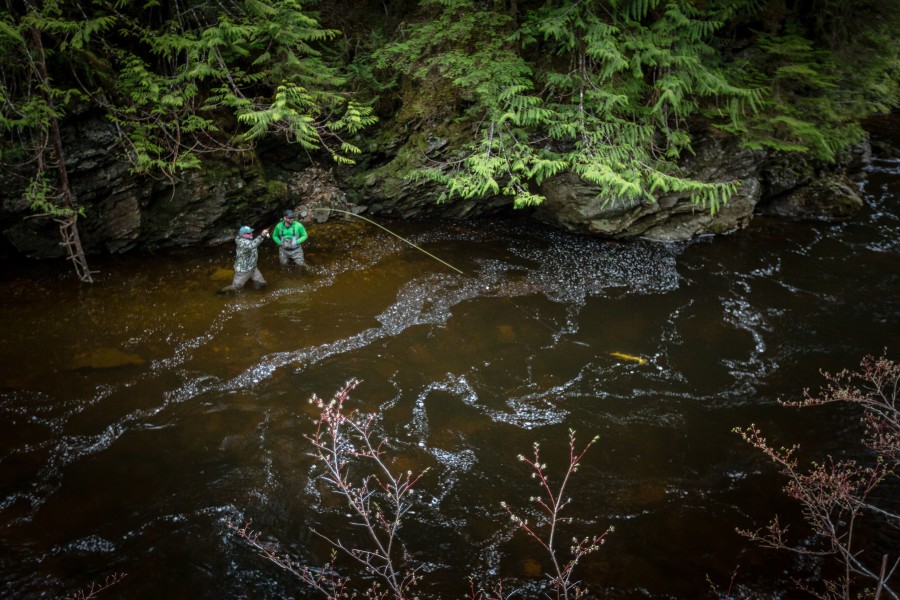 Grants The Conservation AllianceThe Conservation Alliance