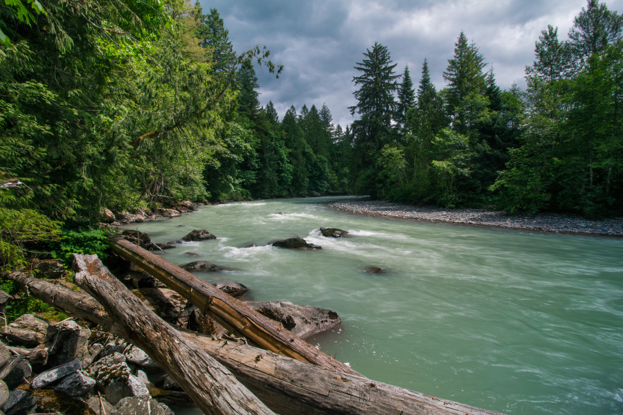 North Cascades Nooksack Wild and Scenic River Campaign The