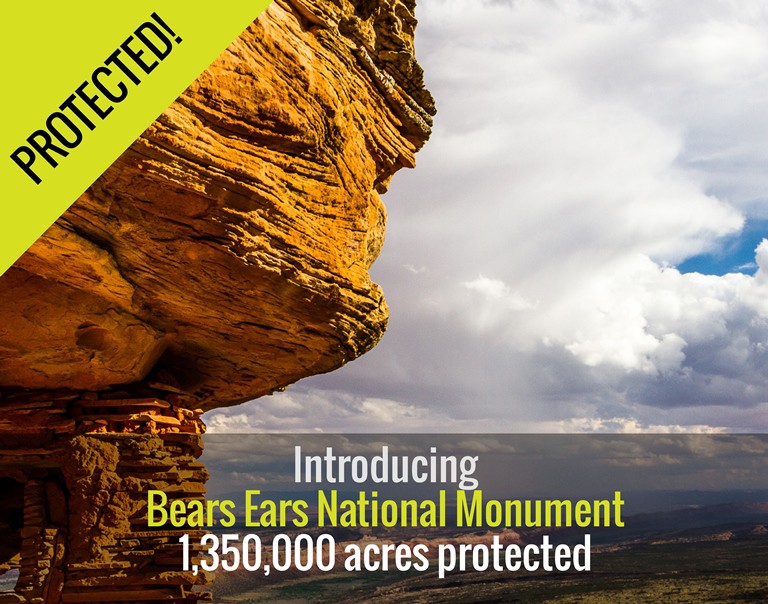 bearsears_fb