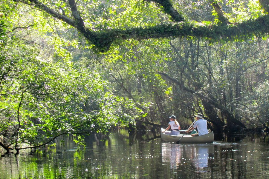 North Carolina Coastal Land Trust The Conservation Alliance