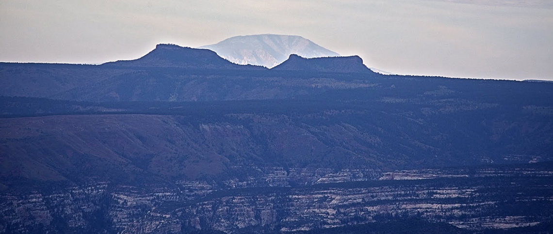 Photo by Tim Peterson