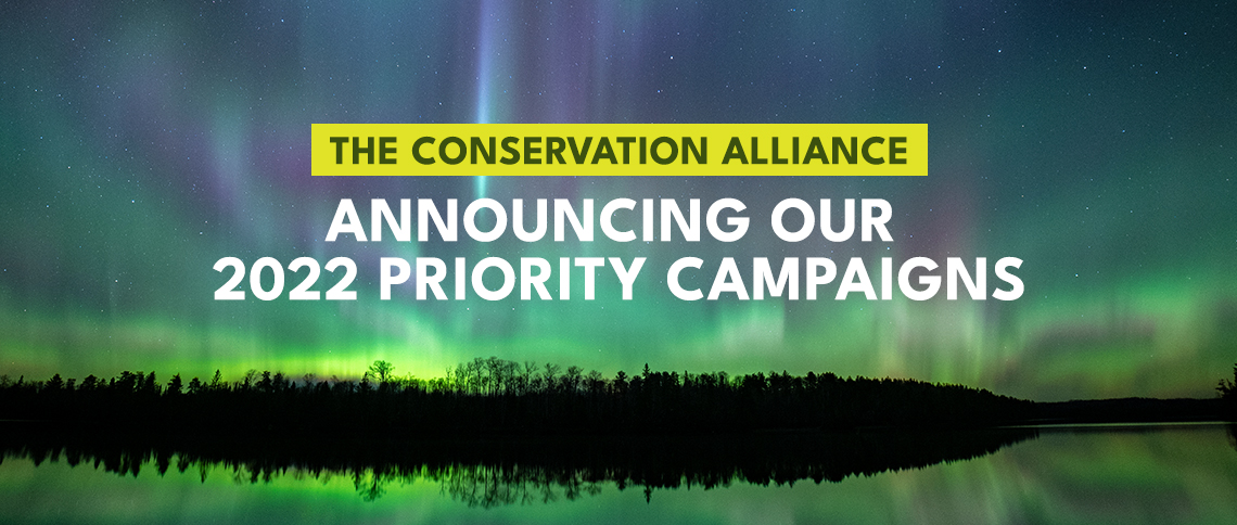 Announcing our 2022 Advocacy Priority Campaigns