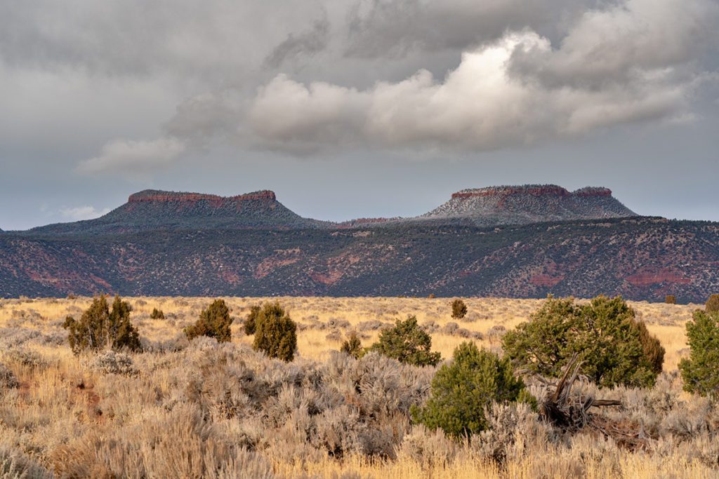 Bears Ears InterTribal Coalition Tribal Sovereignty Advancement The